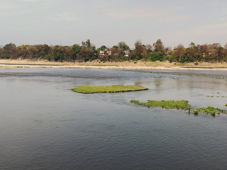 Landscape View of floting island near Beas River Himchal Pradesh India 1の写真素材