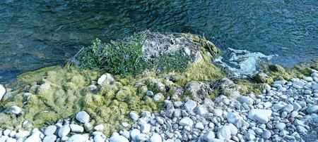 Water Flow Near Bank River in India