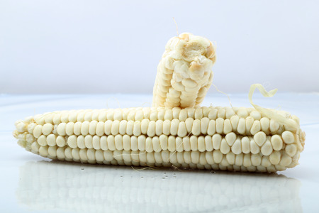 An ear of corn isolated on a white backgroundの写真素材
