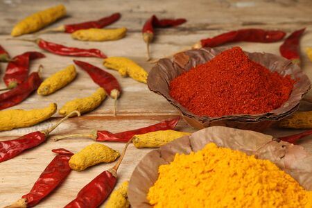 Indian style spices and herbsの写真素材