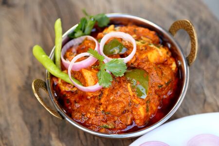 INDIAN STYLE COTTAGE CHEESE VEGETARIAN CURRY DISH. Kadai Paneer - Traditional Indian or Punjabi food. Garnished with onion and chili slices.の写真素材