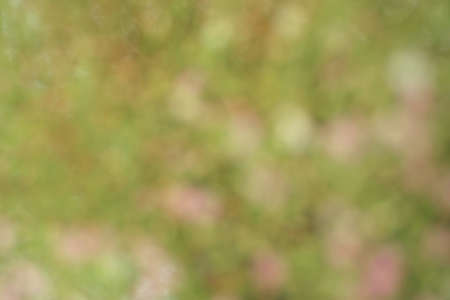 background with green and pink bokeh effects 
