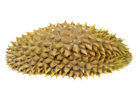 Close up of peeled durian isolated on white background 