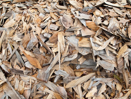 Wood Scraps from Construction Site