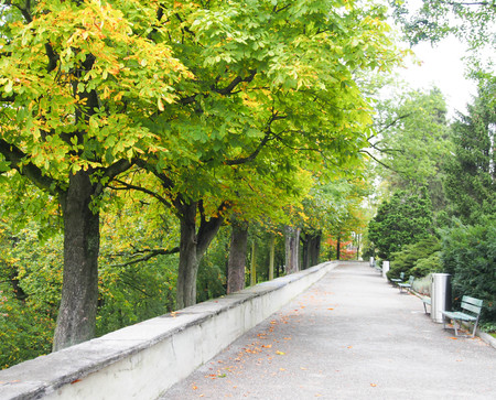 Walkway in the parkの写真素材