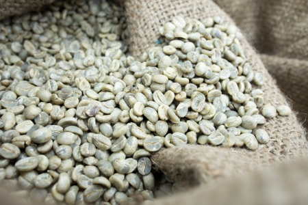 Green coffee beanの写真素材