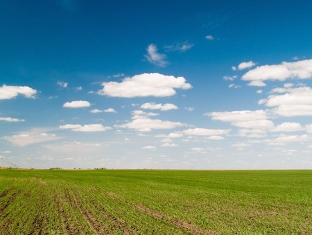 green field blue sky with clouds
