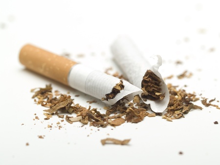 Broken cigarette on white, close-upの写真素材