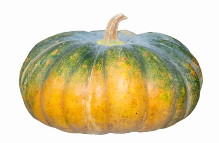 Raw thai pumpkin isolated on white backgroundの写真素材