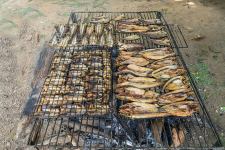 Grilling fish,fish preservation of countruside in thailand by fire and smok.の写真素材