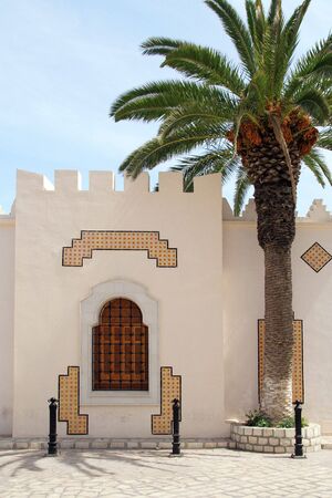 the arabian building and palm