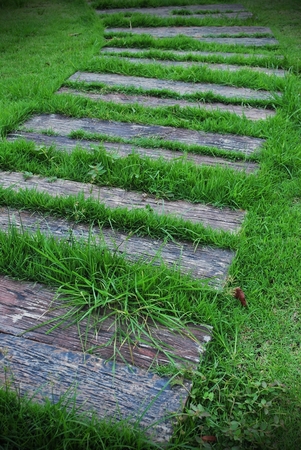 away on greenの写真素材