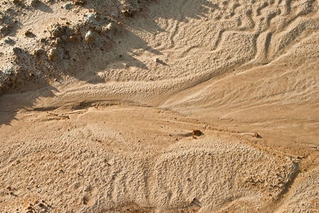 Wet sand,Natural textured background.の写真素材