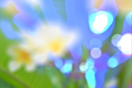 Multicolored defocused bokeh lights for background or textureの写真素材