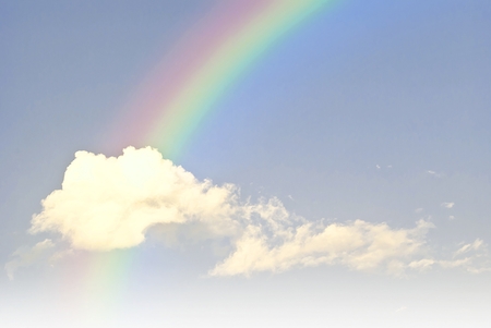 rainbow in the blue sky after the rainの写真素材