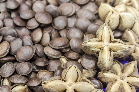 Image of sacha inchi peanut seedの写真素材