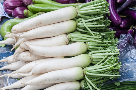 fresh radishes in marketの写真素材