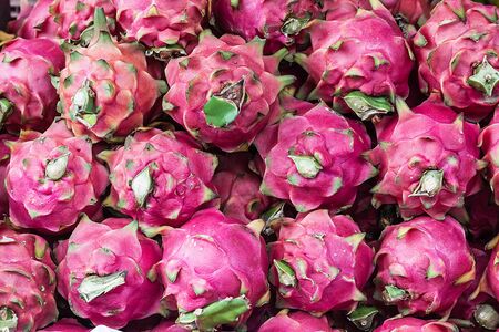 background of dragon fruit in the market streetの写真素材