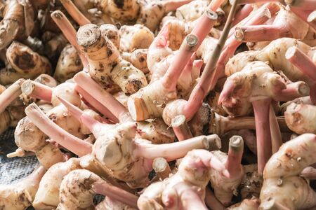 image of fresh ginger root in street marketの写真素材