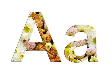 alphabet A and a, Isolated letters from flowers on white backgroundの写真素材