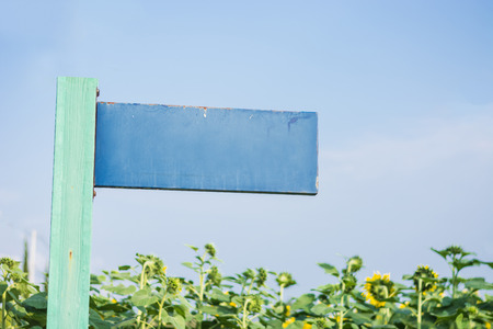 Old blue Wooden Signpost in the garden with blue sky for background. Concept of guide in different areas of life.の写真素材