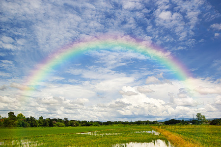 Beautiful Of Rainbow In Blue Sky Over Of Green Rice Field In The Mountain Background.の写真素材