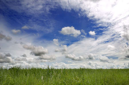Green field and sky blue with cloudの写真素材