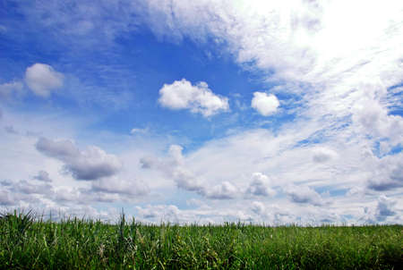 Green field and sky blue with cloudの写真素材