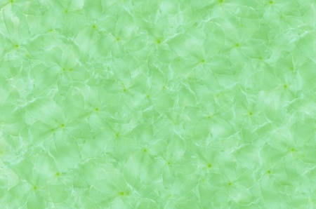 the beautiful  abstract  background with flowersの写真素材