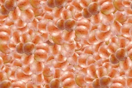 Photo background  Red grapes,   Grape background