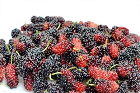  fresh mulberries on white background   の写真素材