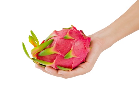 female hand and dragon fruits  on white backgroundの写真素材