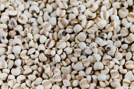 chinese pearl  barleyの写真素材