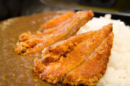 Japanese breaded deep fried pork cutlet  tonkatsu  served with steamed rice and curry sauceの写真素材