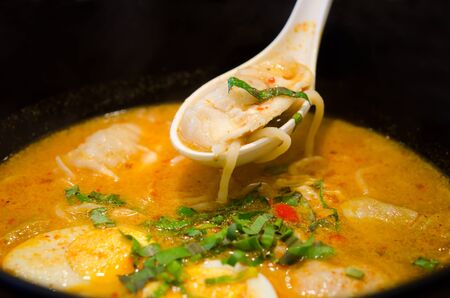 spicy ramen noodles with wonton and egg , wonton on spoon