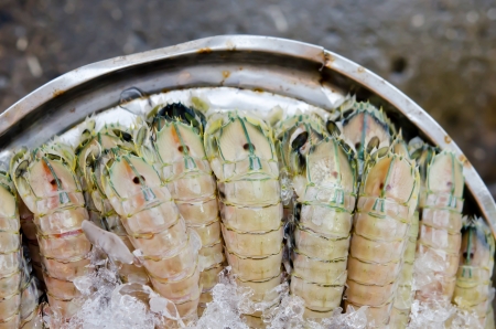 Mantis shrimp with ice in fresh marketの写真素材