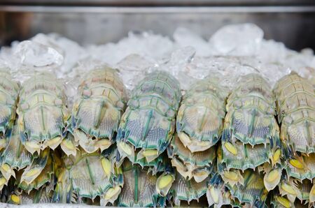 close up mantis shrimp with ice in fresh marketの写真素材
