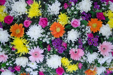 mixed of  colorful  flower  bouquet ,  fresh flora  full backgroundの写真素材