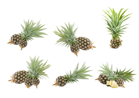 Collage from photographs of  pineapple  over white backgroundの写真素材