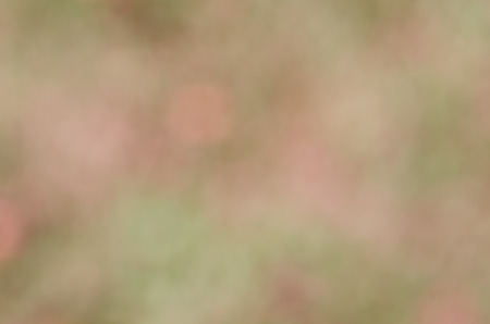 Abstract  wallpaper , art  background with color