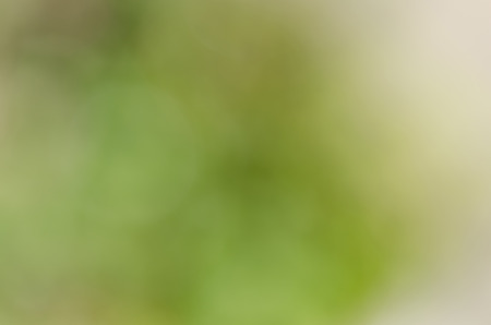 Abstract  wallpaper , art  background with green colorの写真素材