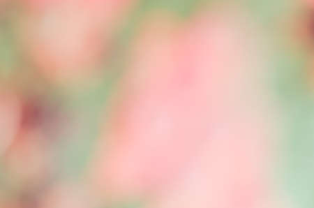 Artistic style - Defocused abstract texture background for your designの写真素材