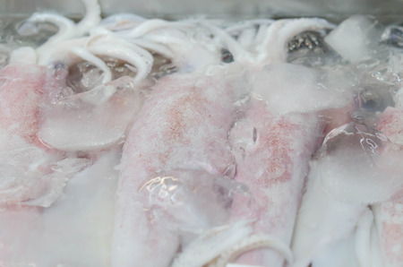 Frozen Raw Squids on iced in The Local Marketの写真素材