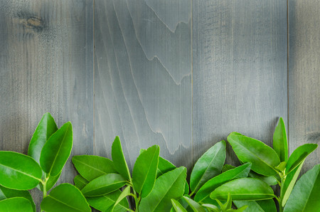 top view of wooden background with green leavesの写真素材