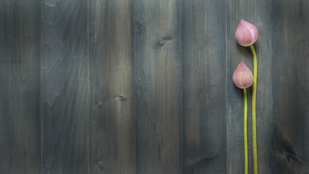 top view of pink water lily over wooden background,  Free space for textの写真素材