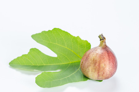Ripe sweet fig , fresh fruit on white backgroundの写真素材
