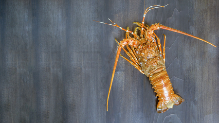 Top view of steamed lobster  on wooden background with copy spaceの写真素材