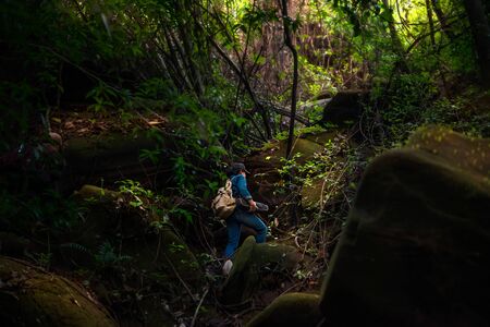 back view photo of girl backpacker travel in rainforestの写真素材