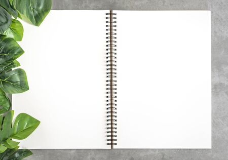 Top view and flat lay with blank sketchbook and green leaves over cement backgroundの写真素材