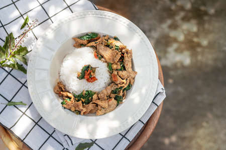 Stir-fried meat with chili and basil served with steamed rice on white dishの写真素材